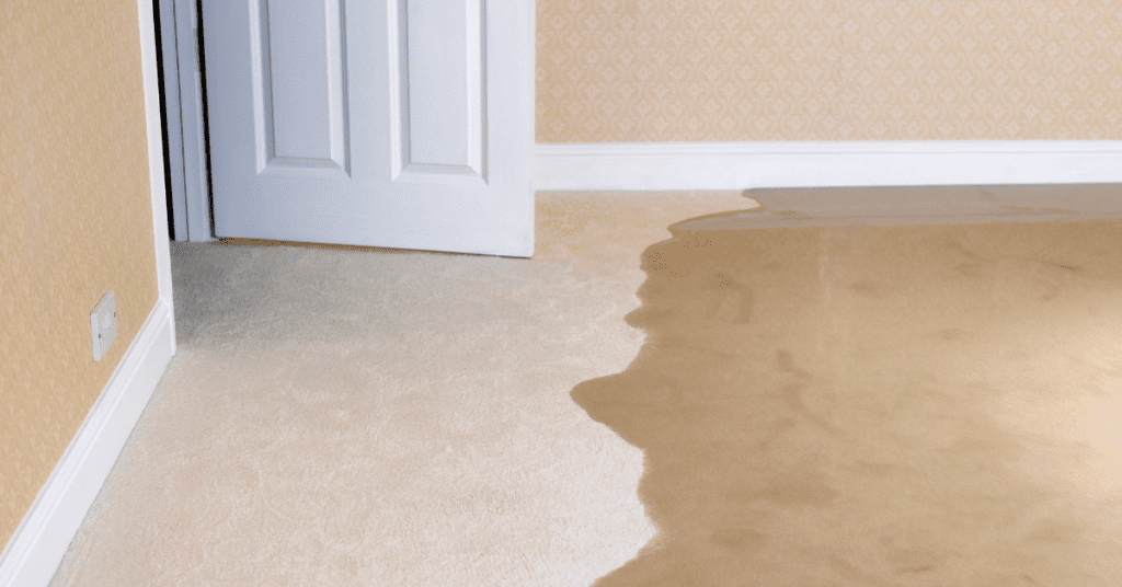 carpet_flood